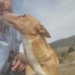 Thumbnail afbeelding